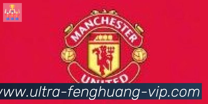 凤凰体育合作伙伴